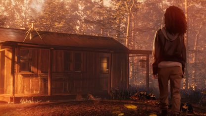 As Dusk Falls (Steam)