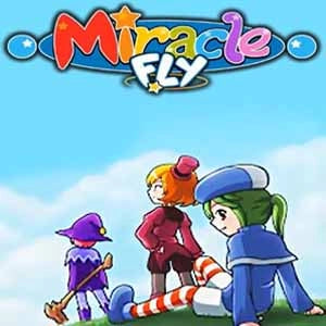 Miracle Fly Steam CD Key