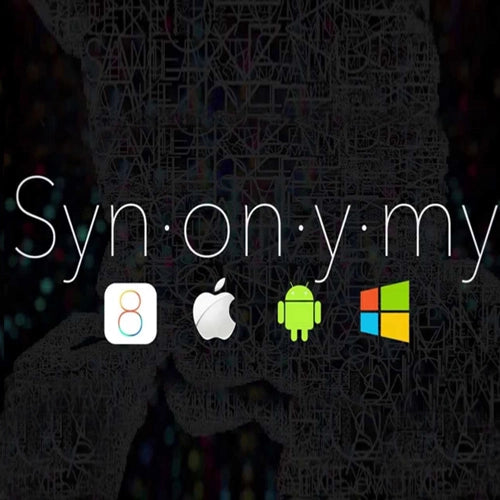 Synonymy Steam CD Key