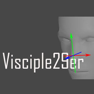 Visciple29er Steam CD Key