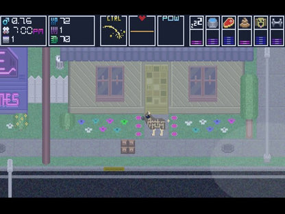 Domestic Dog Steam CD Key