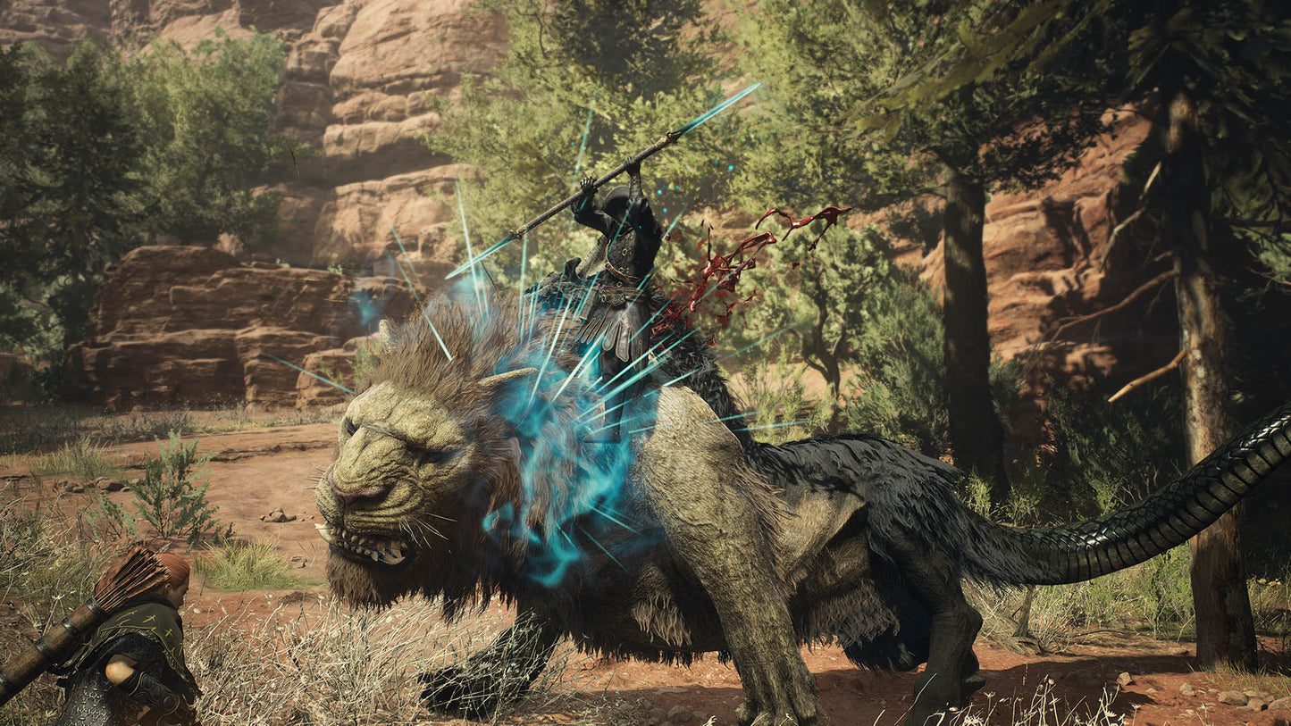 Dragon’s Dogma 2 or Not (Steam)
