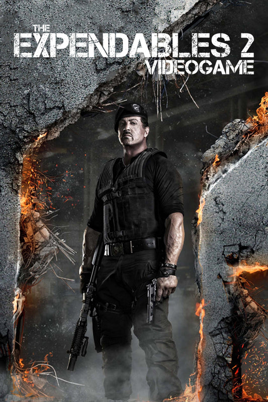 The Expendables 2 Videogame