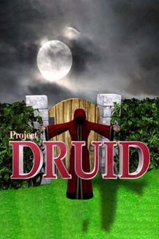 Project Druid - 2D Labyrinth Explorer- Steam CD Key