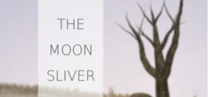 The Moon Sliver Steam CD Key