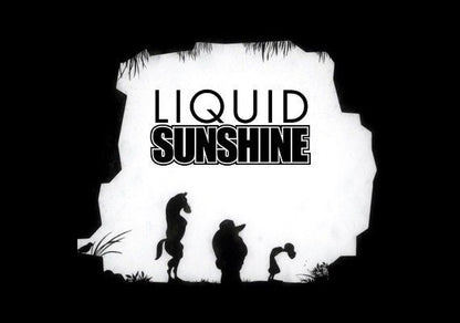 Liquid Sunshine Steam CD Key