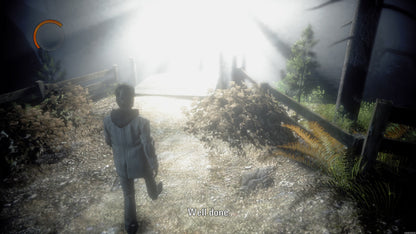 The Wake