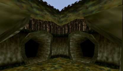 Lost in Woods 2
