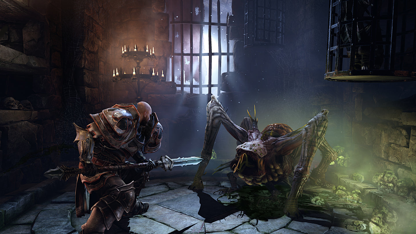 Lords of the Fallen (Limited Edition)