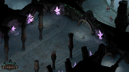 Pillars of Eternity (Champion Edition)