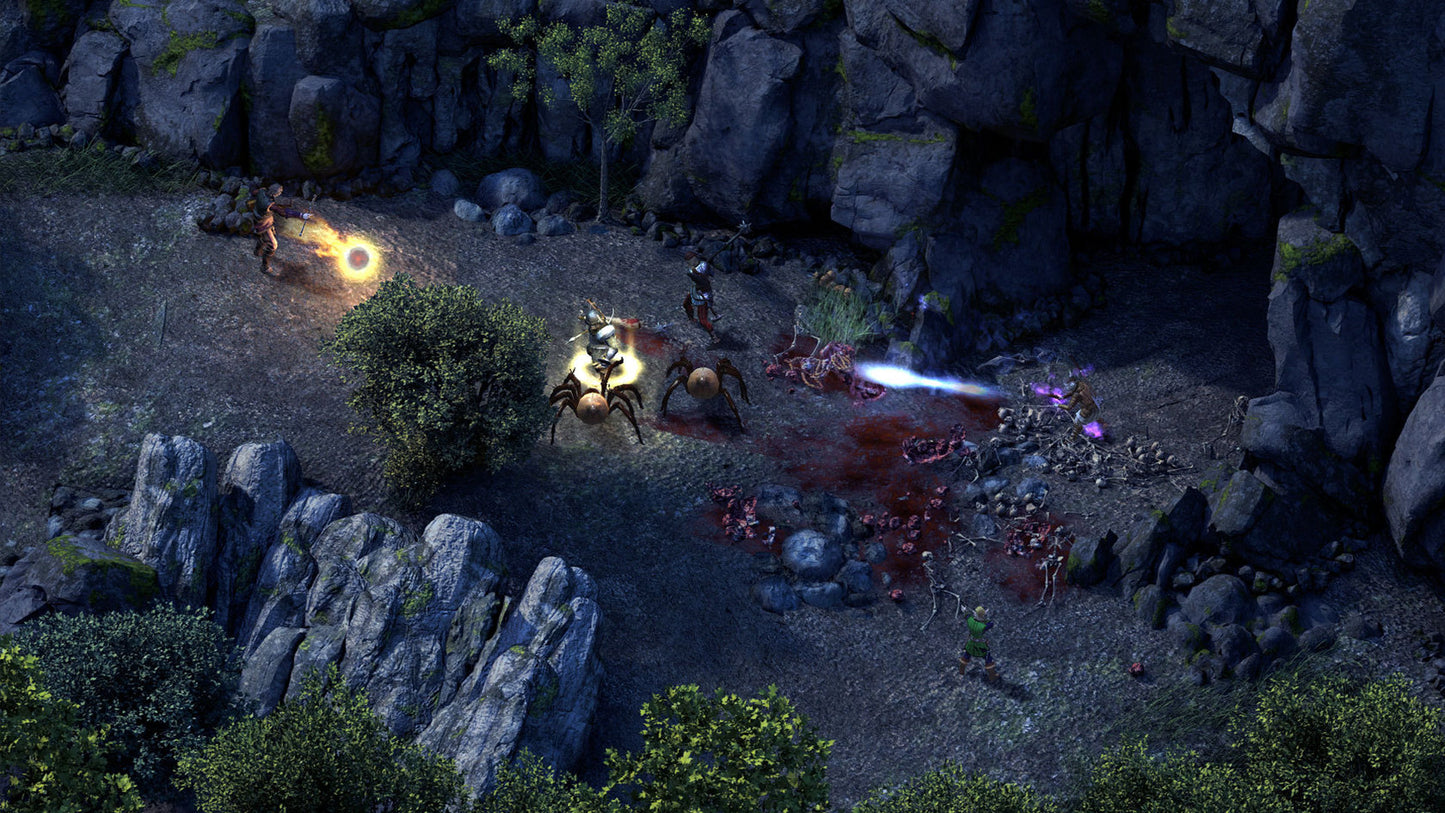 Pillars of Eternity (Hero Edition)