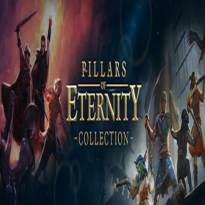 Pillars of Eternity Collection Bundle (Obsidian) Steam CD Key