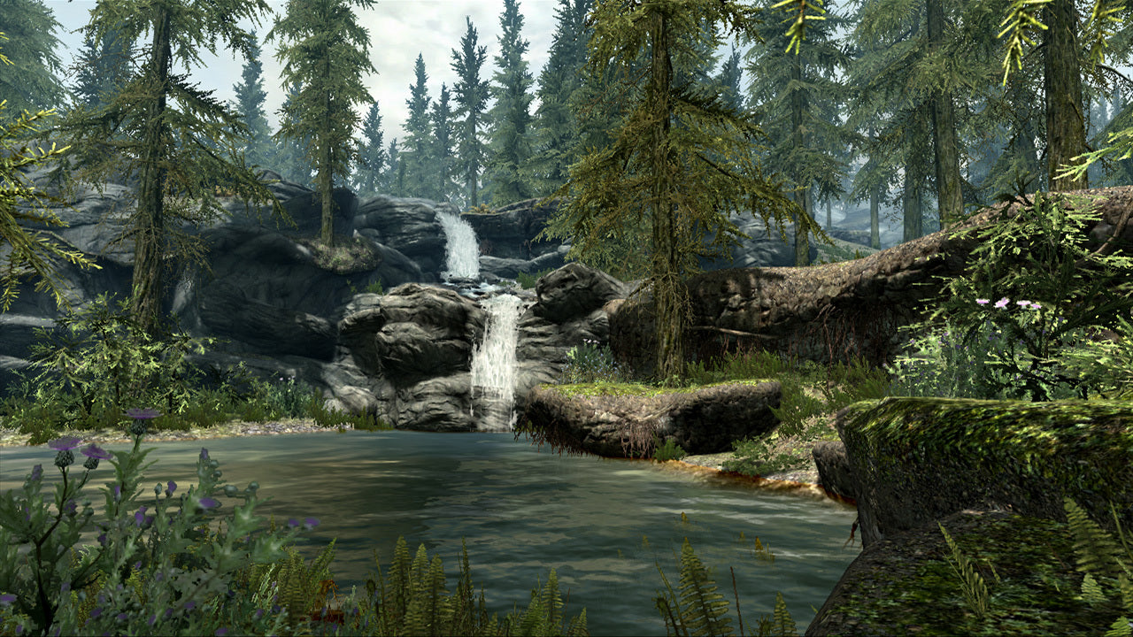 The Elder Scrolls V: Skyrim (Legendary Edition)