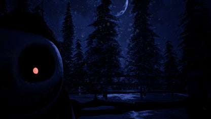 Frosty Nights