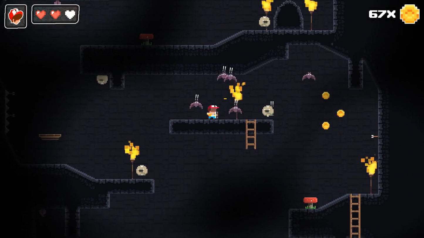 Super Dungeon Boy
