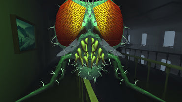 Fly in the House