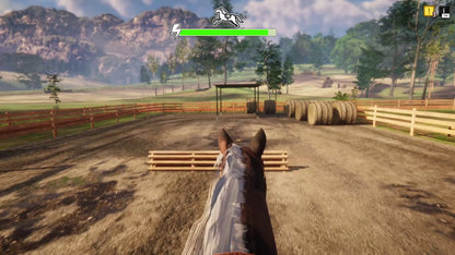 Animal Shelter - Horse Shelter (Steam)