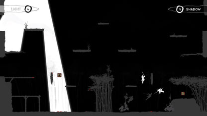 Black &amp; White Bushido (Steam)
