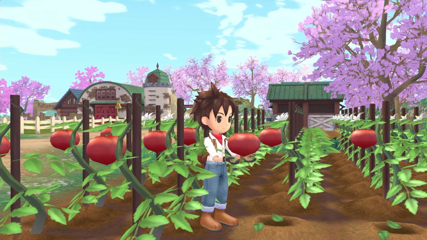 Story of Seasons: A Wonderful Life (Steam)