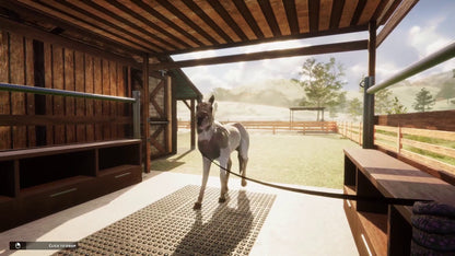 Animal Shelter - Horse Shelter (Steam)