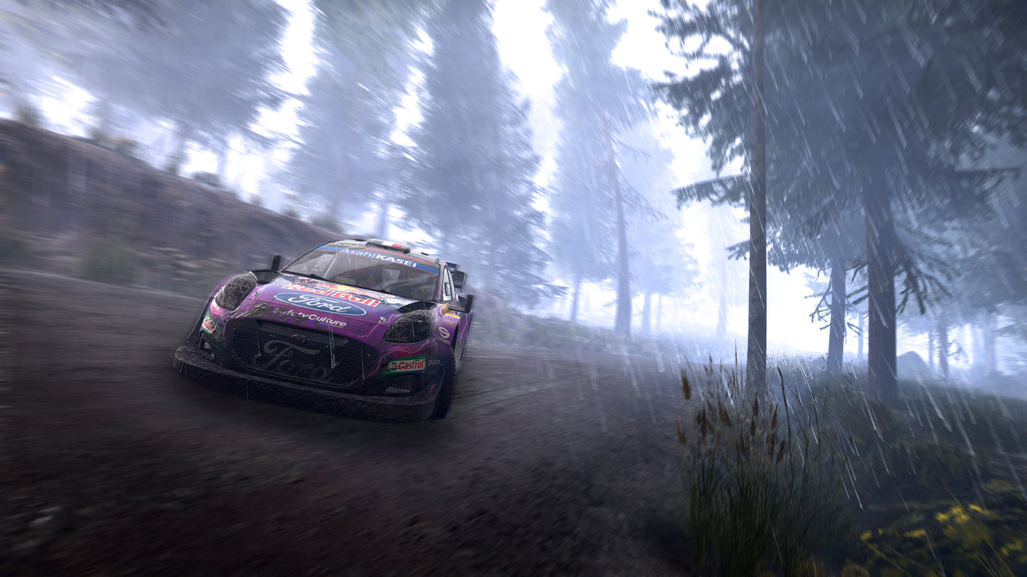 Generații WRC (Steam) (UE)