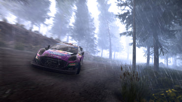 Generații WRC (Steam) (UE)