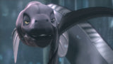 PADAK