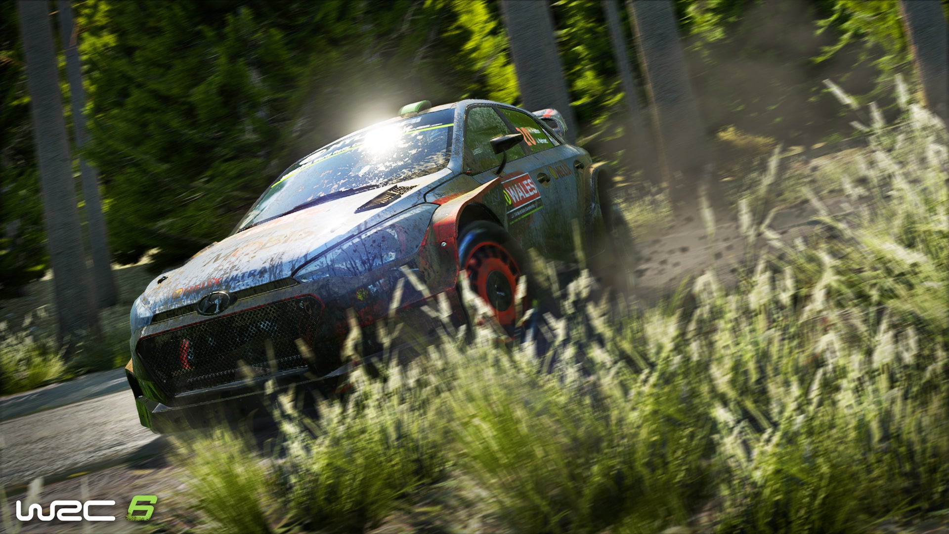 WRC 6 – Nint