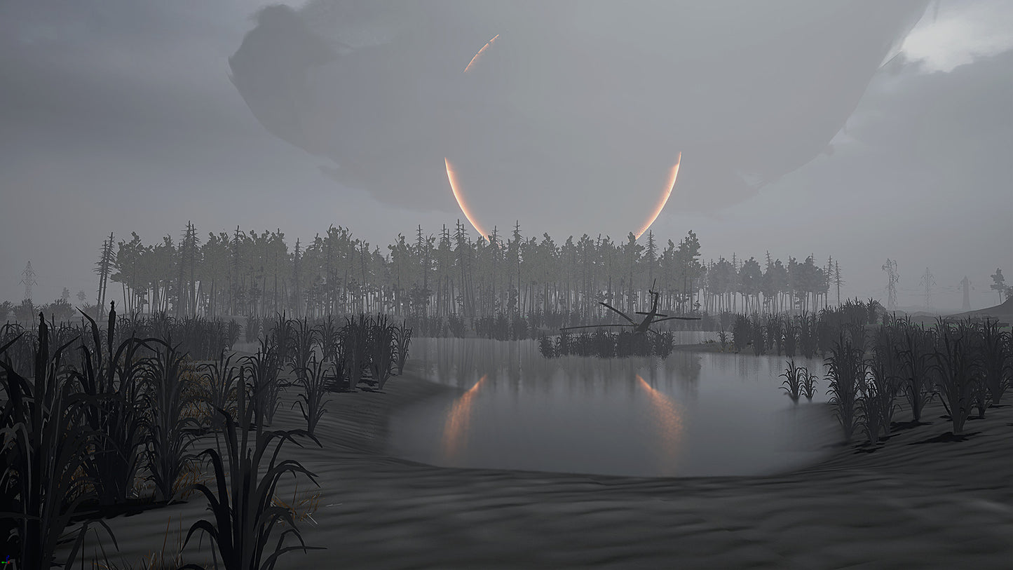Into the Radius VR
