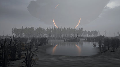 Into the Radius VR
