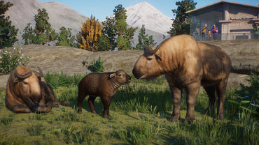 Planet Zoo: Eurasia Animal Pack (DLC) (Steam)
