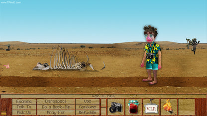 The Preposterous Awesomeness of Everything (Steam)