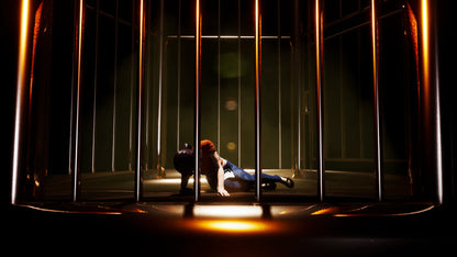 Of Bird and Cage (Steam)