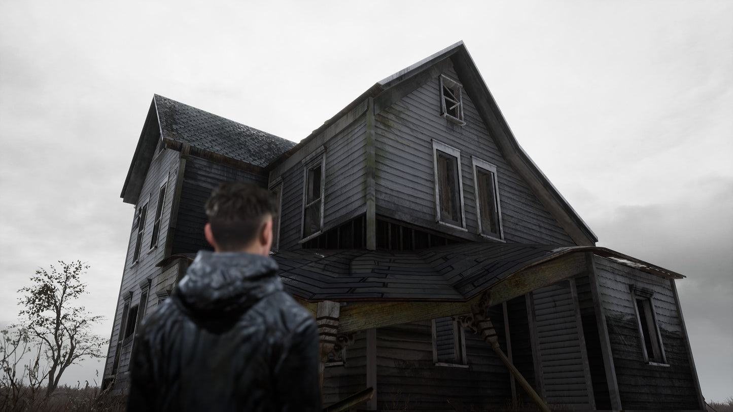 Stray Souls (Steam)