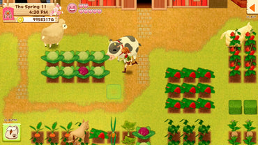 Harvest Moon: Light of Hope (Special Edition)