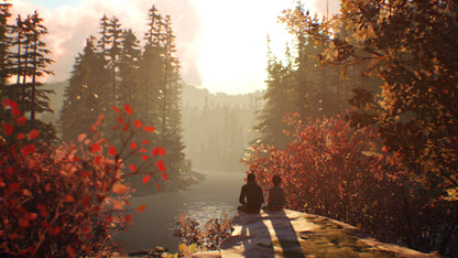 Life is Strange 2 - Episode 5 (DLC)