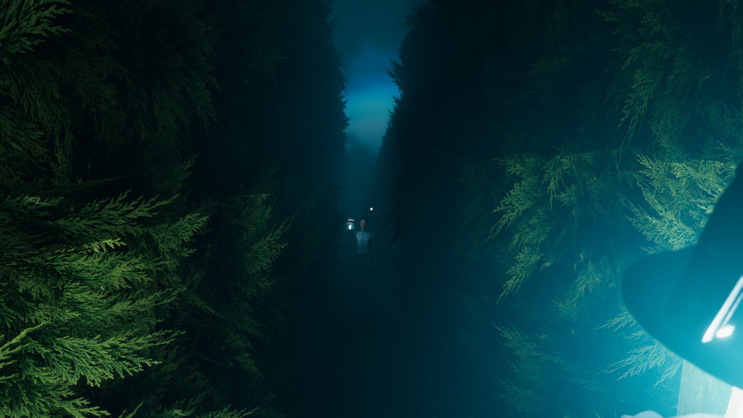 Labyrinthine (Steam)