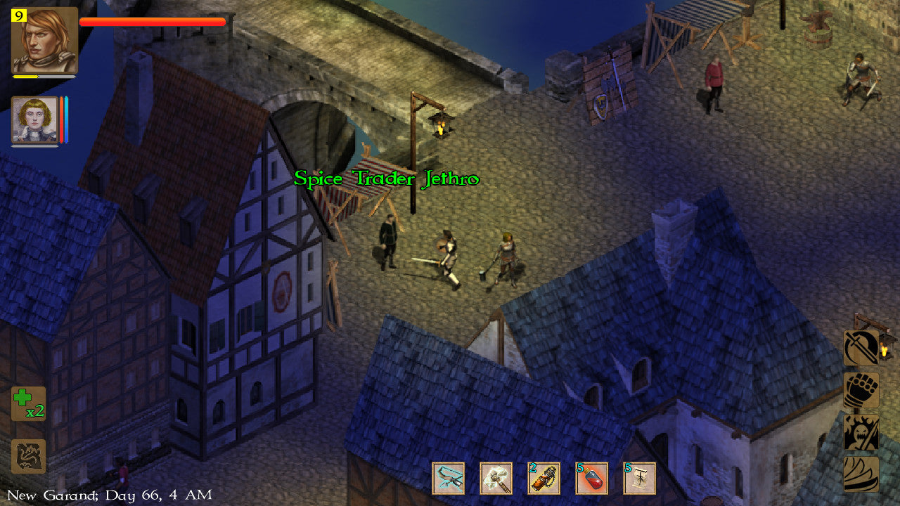 Exiled Kingdoms (Steam)