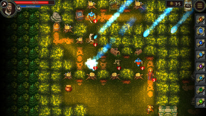 Royal Adventure Steam Key GLOBAL