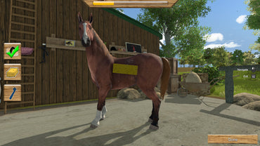 My Little Riding Champion