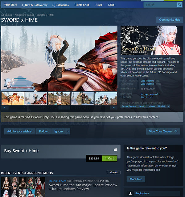 Sword x Hime (Steam)