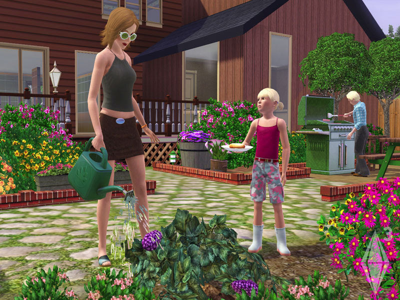 The Sims 3 (Starter Pack)
